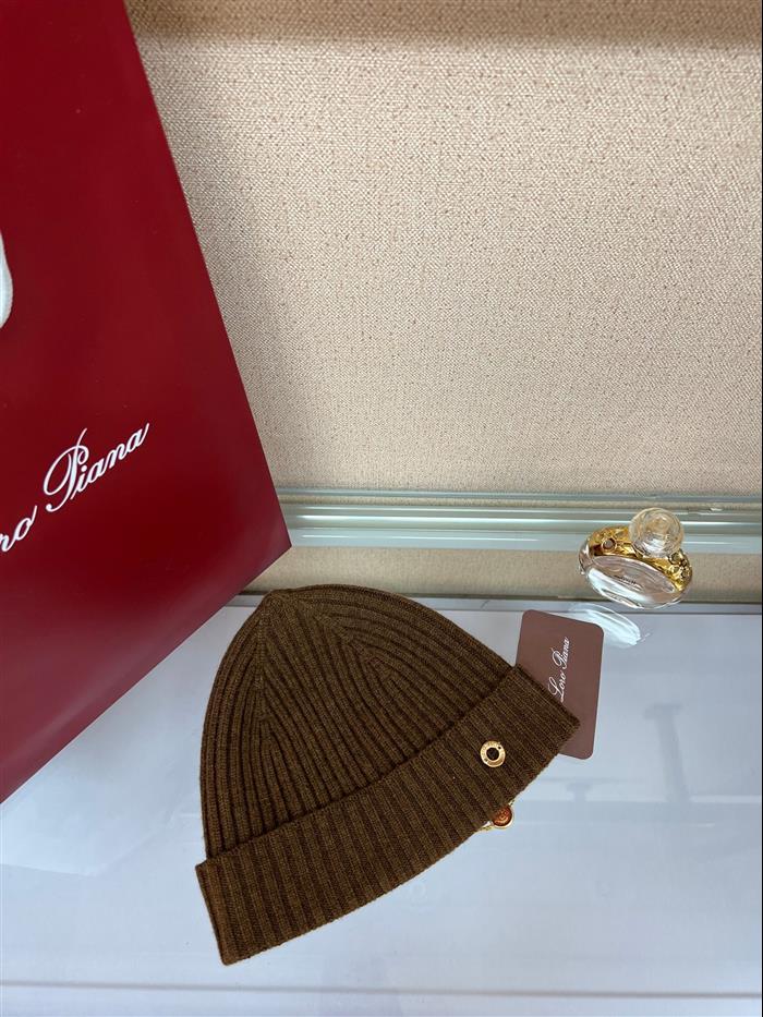 2026116112024430 100